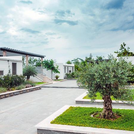 Poseidon Mobile Home Resort Makarska Bagian luar foto